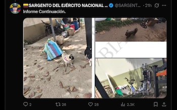 La petición fue presentada tras