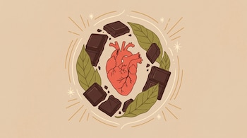 Ilustración de un corazón humano estilizado en color coral, rodeado por trozos de chocolate negro y hojas de cacao verdes, con destellos sobre un fondo beige.