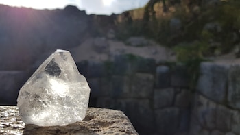 Bravo investigó y vivió en