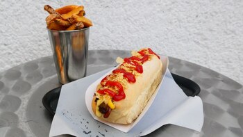 Plato: Perra. Fotografía cortesía de