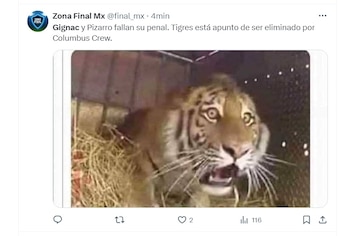 Los mejores memes que dejó