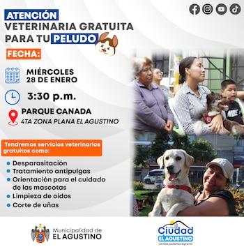 Esta iniciativa fomenta la tenencia