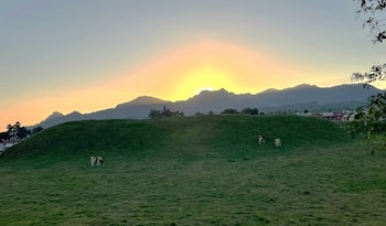 Tres vacas sobre una colina verde en un entorno rural al atardecer con montañas al fondo