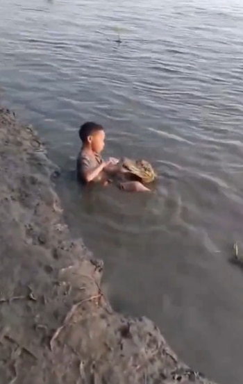 El curioso video de Heimer y el caimán Enrique desata debate sobre la convivencia con animales silvestres en Colombia - crédito captura de pantalla @narcoblogger/X