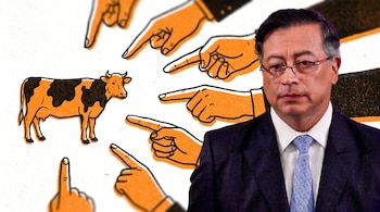Primer plano de Gustavo Petro con gafas y traje oscuro; de fondo, ilustración estilo risografía de una vaca y manos naranjas que la señalan.