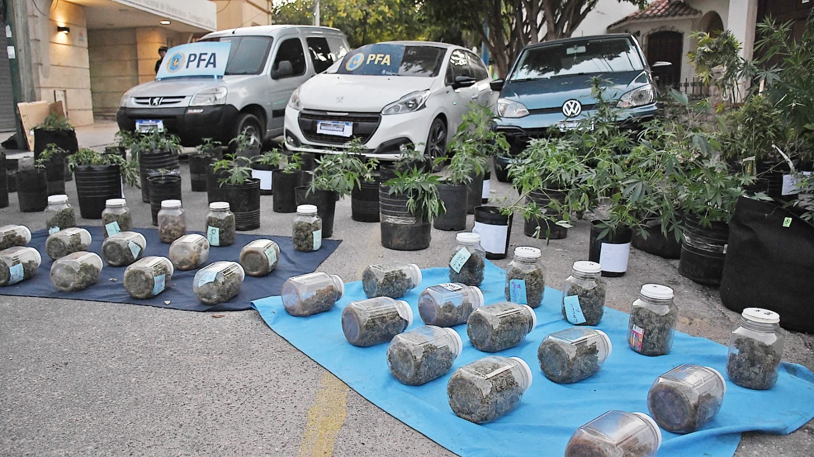 La banda también comercializaba marihuana en el ámbito universitaria