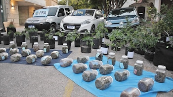 “Estudiantes de la Planta”: cayó una peligrosa banda que cultivaba y vendía marihuana en ámbitos universitarios de La Rioja