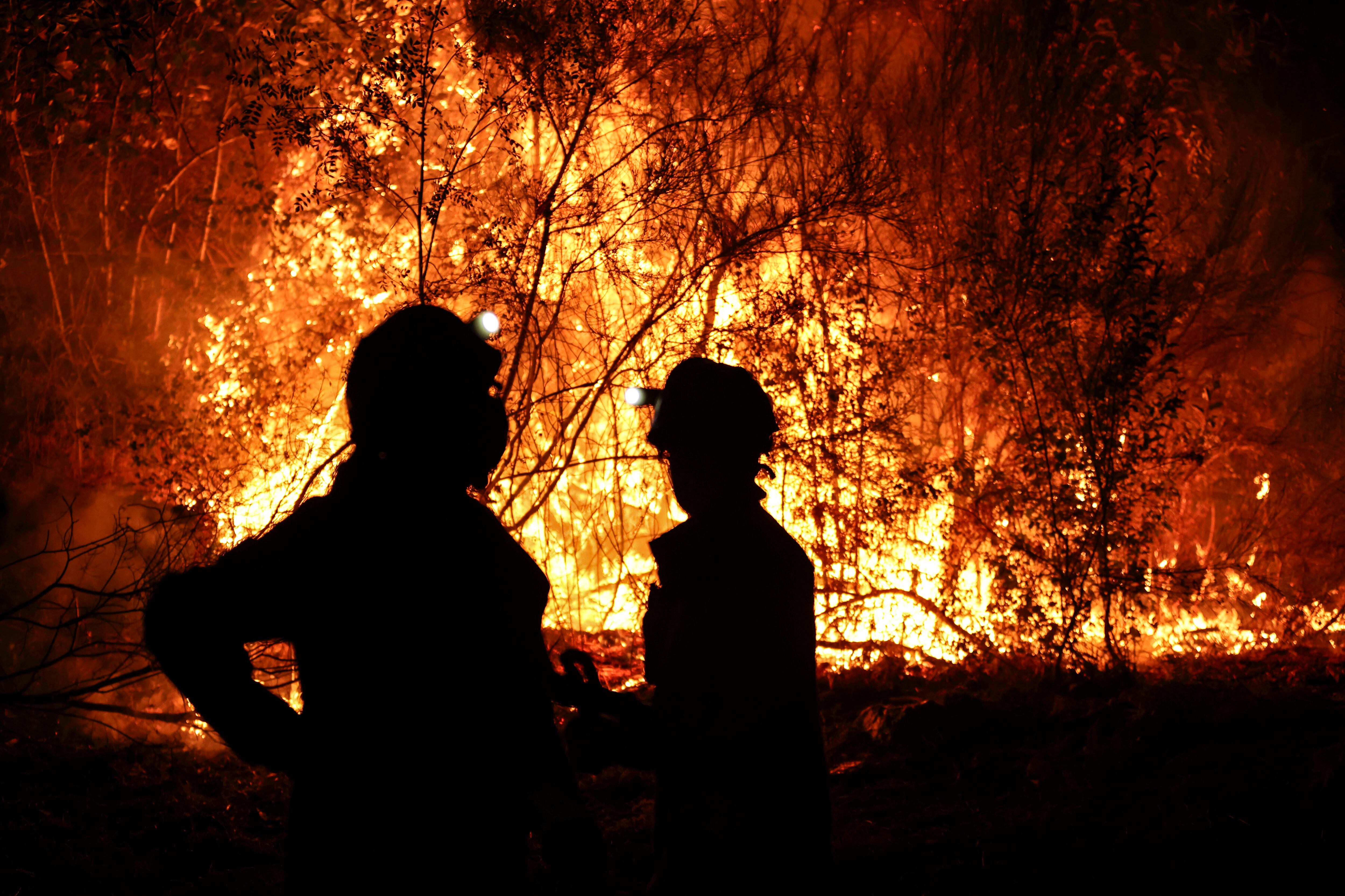 Bomberos forestales antes las llamas de un incendio forestal. (EFE/ Sxenick)