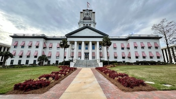 Senado de Florida apoya limitar