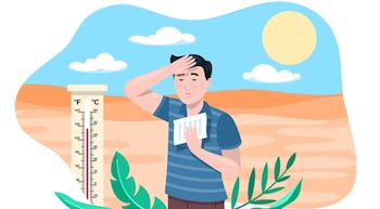 La creatividad se desborda: Los