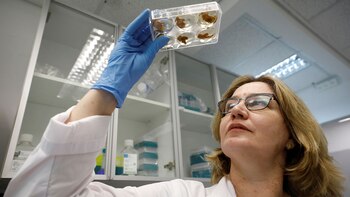 Por ahora la producción de