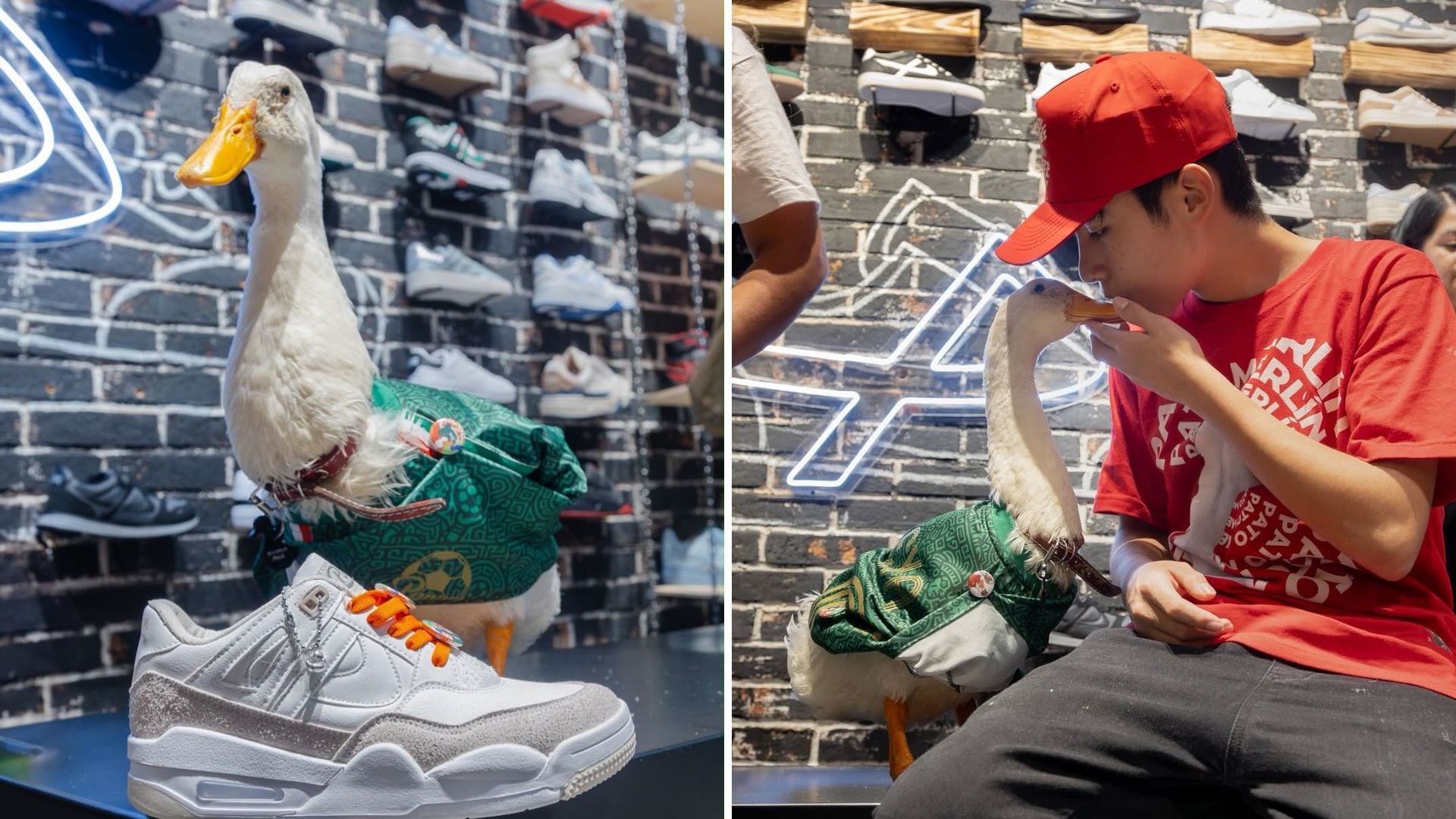 Pato Merlín da el salto al mundo de la moda al lanzar sus tenis