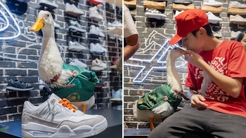 Pato Merlín da el salto al mundo de la moda al lanzar sus tenis