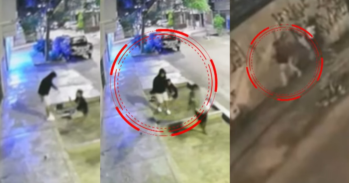 Los Olivos: balacera en el parque Virgen del Carmen (Covida) deja un joven herido en la pierna