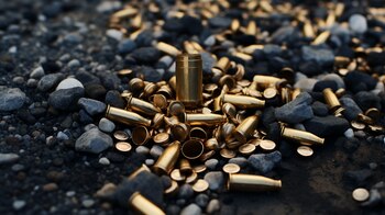 Celaya es el municipio más