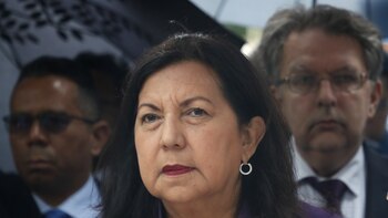 Comienza la campaña para el