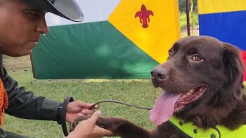 Betoven nació el 8 de