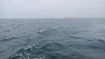 Una persona con gorro de natación rosa nada en el agua frente a un buque rojo distante y la costa bajo un cielo nublado