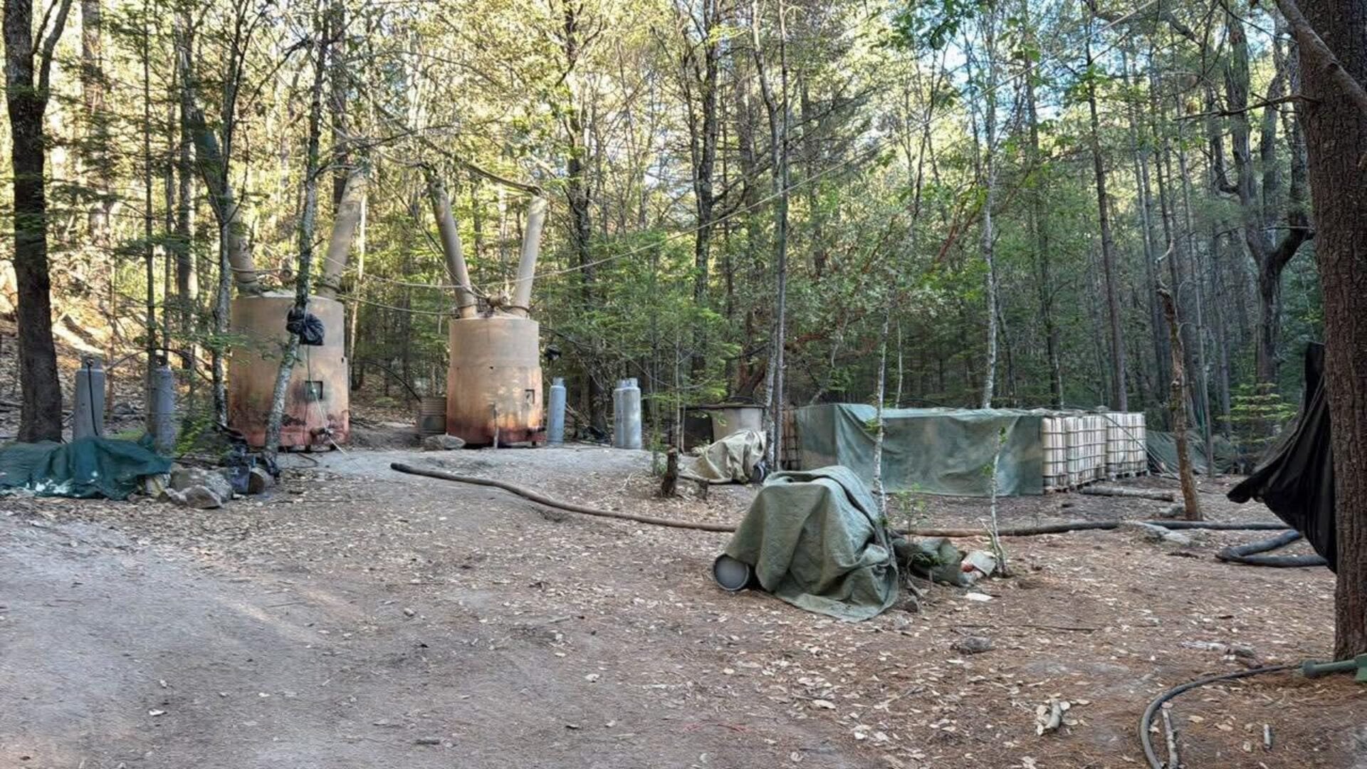 Al lugar acudieron agentes de seguridad (Especial)