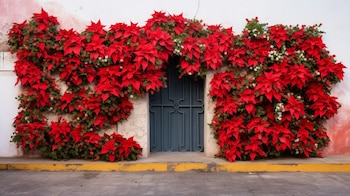 Durante la temporada navideña, la