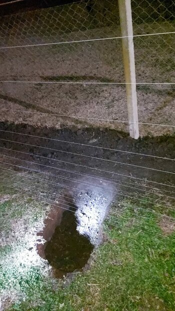 Para entrar sin ser vistos,