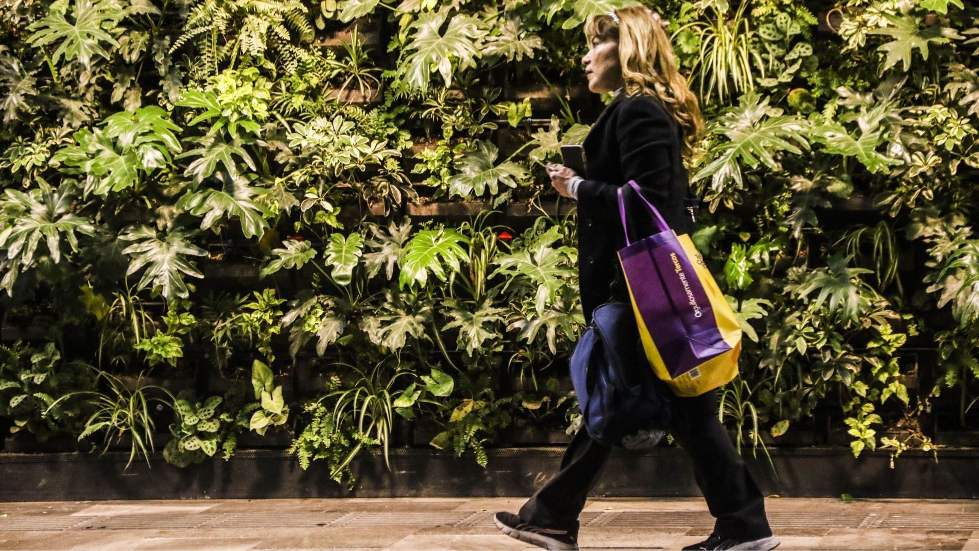 La jefa de Gobierno anunció que los andenes de la estación Zócalo tendrán muros verdes con plantas vivas, una tecnología probada durante nueve meses en la estación Juanacatlán que ahora se extenderá a varias estaciones del sistema. (FOTO: VICTORIA VALTIERRA/CUARTOSCURO.COM)