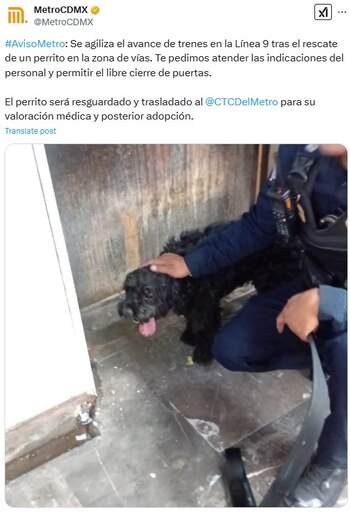 Avance en tiempo real de