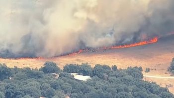Un incendio en Texas sigue activo desde hace dos semanas: más de 30.000 hectáreas arrasadas y al menos 150 estructuras destruidas