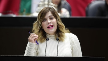 Lilia Aguilar Gil, la diputada