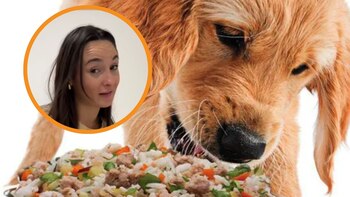 La nutricionista de 'Patitas &