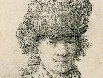 La muestra abarca la evolución