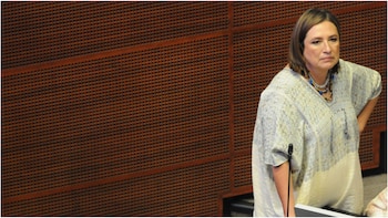 La senadora del PAN abordó