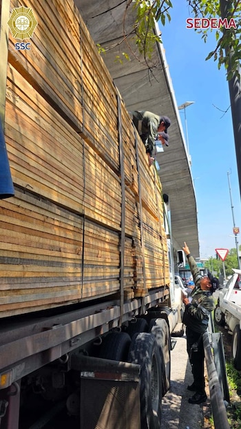 Aseguran tráiler repleto de madera de pino presuntamente de origen ilegal en Tlalpan. Crédito: SSC