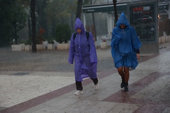 (Foto de ARCHIVO)
Imágenes de sevillanos