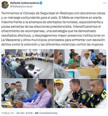 Gobernadora del Meta declaró alerta máxima y refuerza seguridad tras hallazgo de dron con explosivos - crédito @RafaelaCortesZ/X