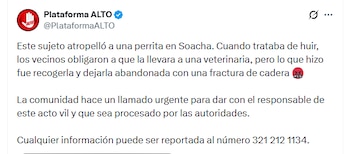- crédito @PlataformaALTO/X