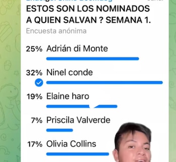 (TikTok: @mitchchismeyuber)