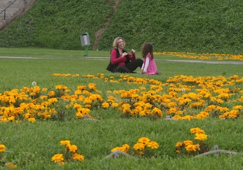 En septiembre inicia la primavera