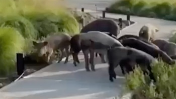 En medio de la polémica