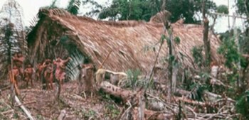 Los aucas con los que