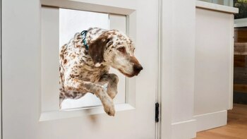 Crearon una puerta inteligente para