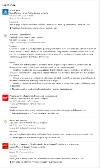 La hoja de vida pública de Angie Paola Valderrama registra experiencia en la Cancillería, Naciones Unidas, la OIM, la FAO y varias entidades públicas, con énfasis en derechos humanos, migración y enfoque de género - crédito Linkedin