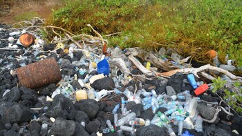 La basura de la flota