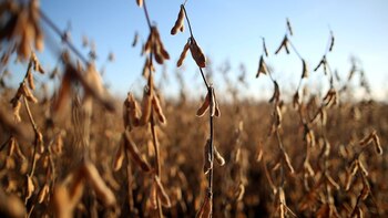 Una empresa suma nuevos productos