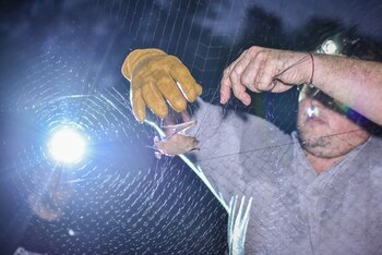 El equipo de expertos, luego