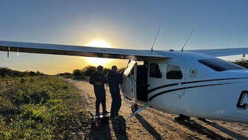Video: así revelaron la patente trucha de la avioneta boliviana que llevó 442 kilos de cocaína a Santa Fe
