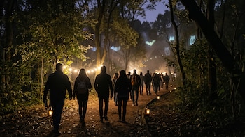 Murciélagos, búhos y zarigüeyas: así será el Festival Guardianes de la Noche en Puebla