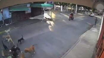 Las imágenes reavivaron el debate