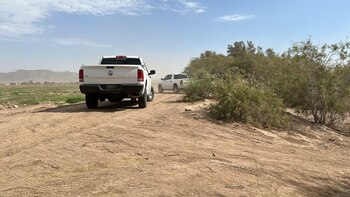 Colectivos de búsqueda se han