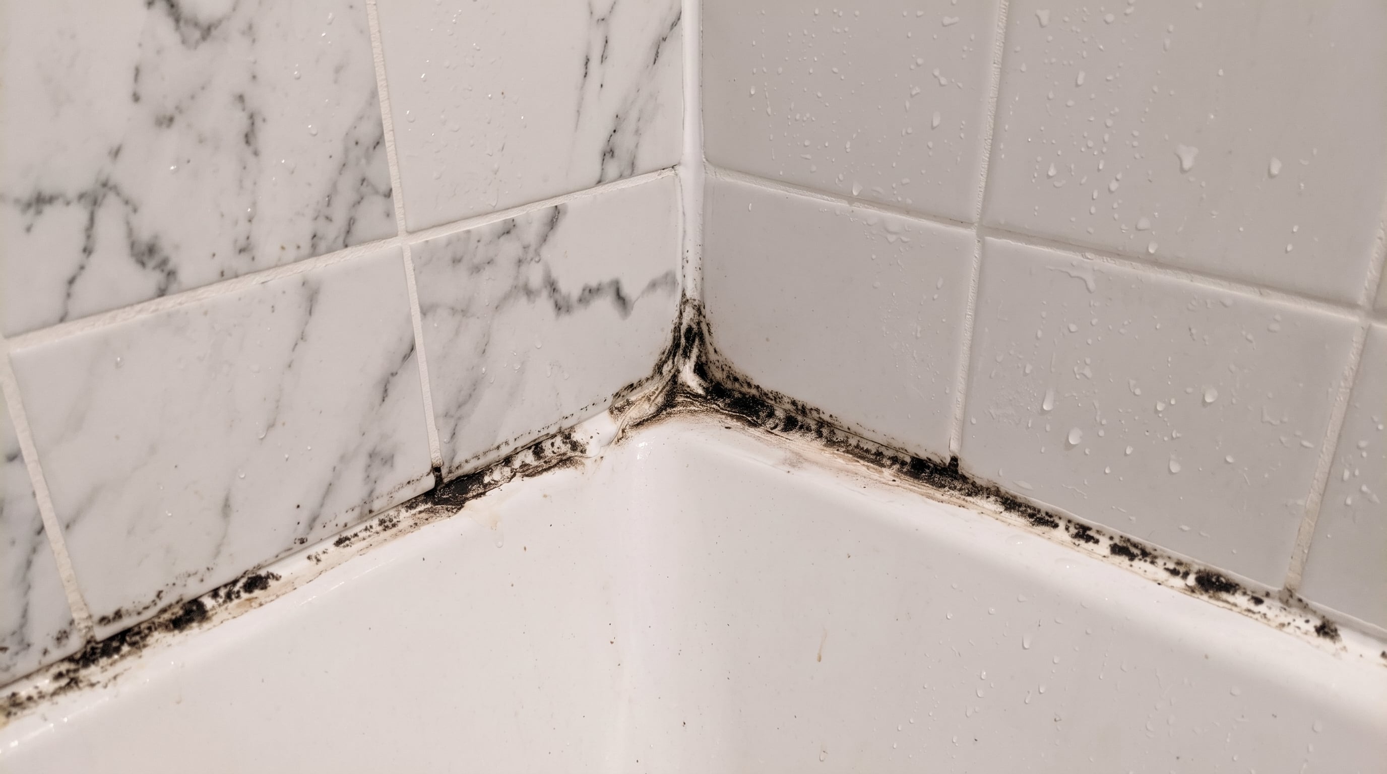 La vida útil recomendada del silicón de baño es de uno a dos años, incluso sin signos visibles de moho. (Imagen Ilustrativa Infobae)